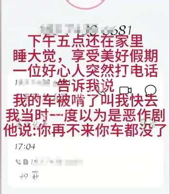 车被狗啃碎