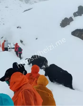 珠峰暴雪突袭东坡营地