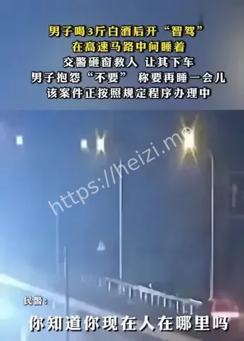 醉酒使用智驾开车案例