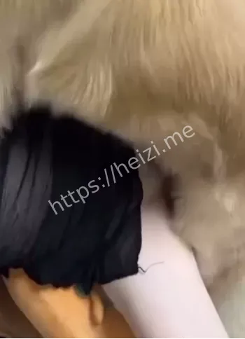 视频全过程曝光