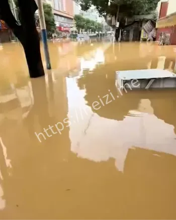 崇左洪灾救援进展