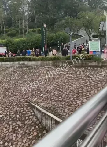 湛河桥跳河事件