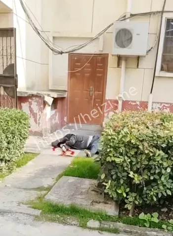 11月4日丹凤悲剧