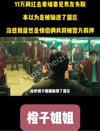 抖音网红橙子姐姐诈骗园区真相
