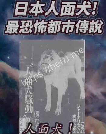 人面犬传说