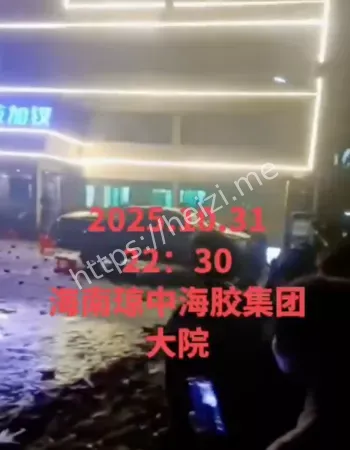 海南琼中群体抗议事件