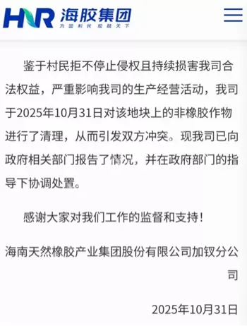 私砍槟榔树事件