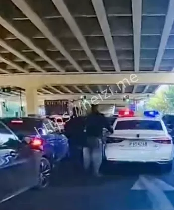 施某盗窃新能源车逃窜