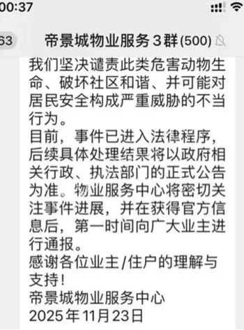 复合弓深夜虐猫