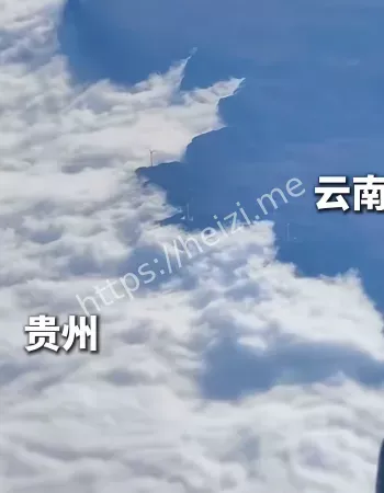 准禁止锋照进现实