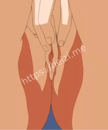 桥本太郎原作改编故事