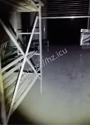 小龙探险萌脸现身