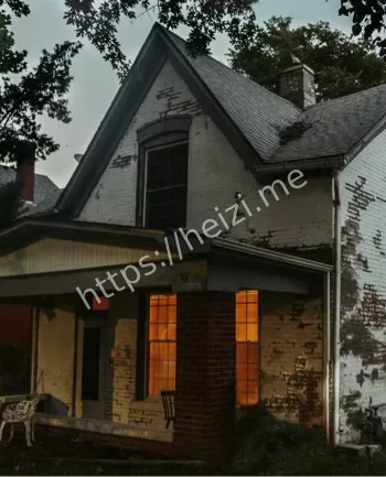 萨莉之屋游客被抓