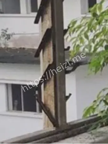 废弃医院闹鬼传闻