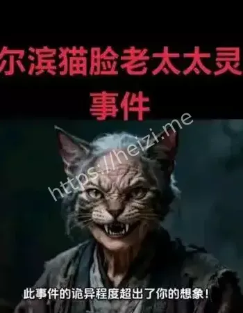猫脸老太太事件
