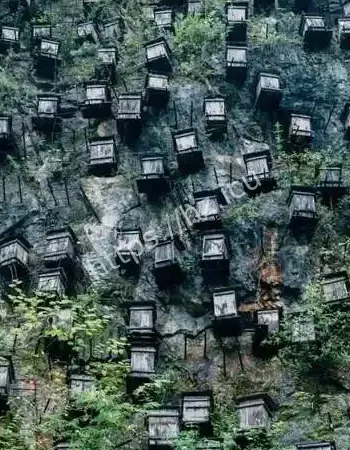 悬棺之谜大翻转