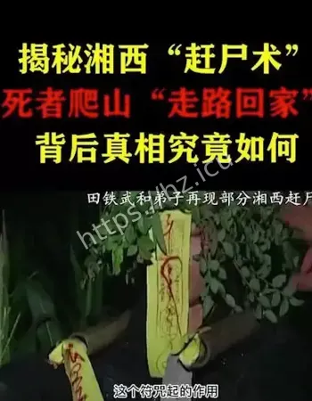 深夜山路铃声响