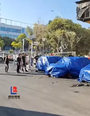 现实版殃及池鱼