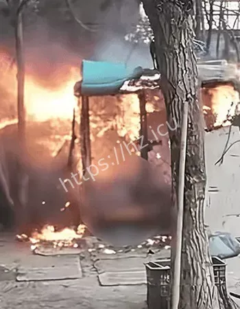 小孩哥小区纵火