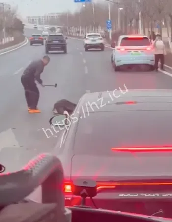 阿那亚斧头砍人事件