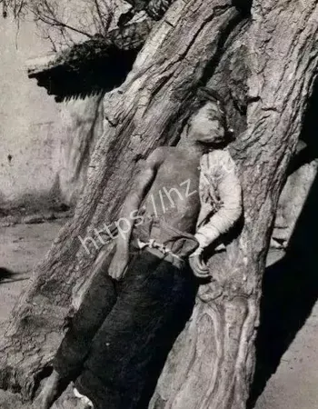 所有报应都来了