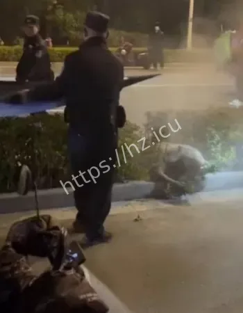 丈夫发现妻子出轨