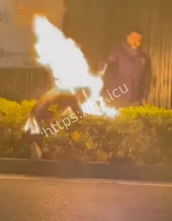 当场化身国服火男