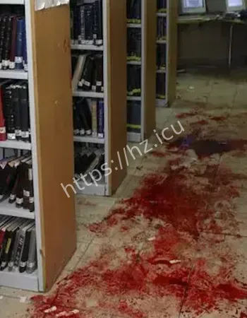 天津图书馆诅咒