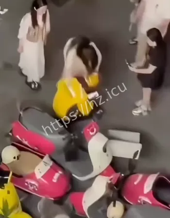 撞死不拴绳爱犬