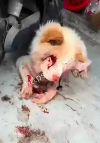 醉汉装醉拒付医疗费