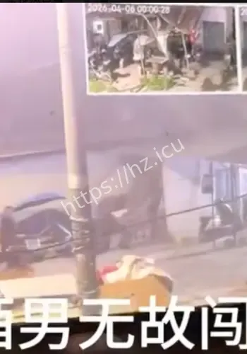 邻居狗满身伤口立案