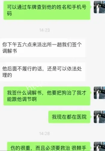 邻居狗满身伤口立案