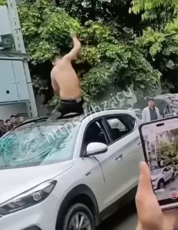 四川阆中砸车事件