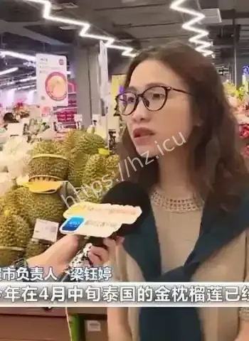 榴莲自由要实现