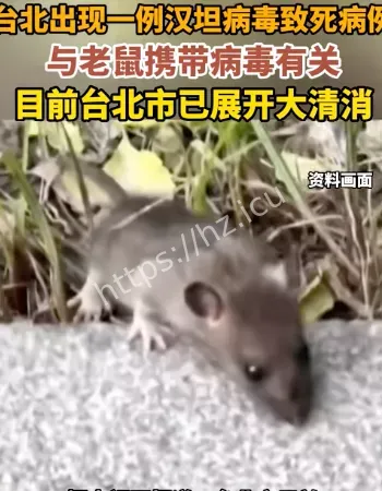 台湾汉坦病毒