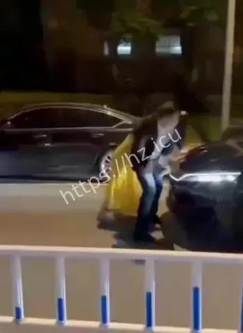 司机不还手她却打到累瘫