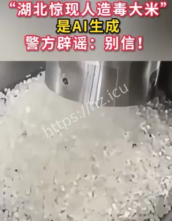 湖北人造毒大米