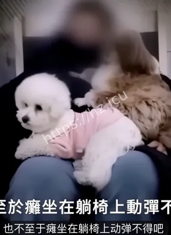 军人丈夫冷眼旁观算计