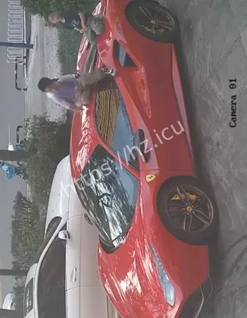 被熊孩子当滑梯玩