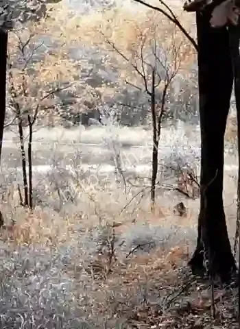 姐姐毁她一生后
