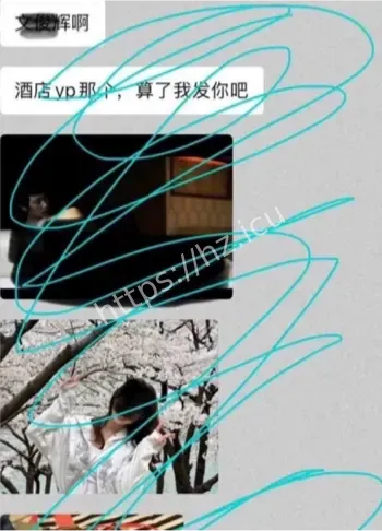 文俊辉酒店事件