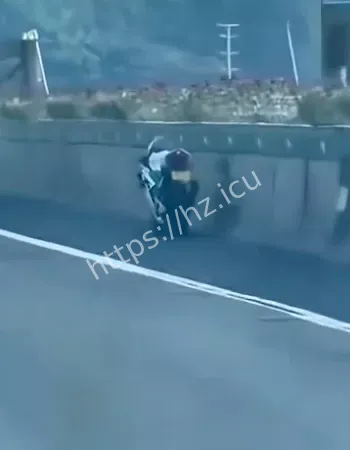 高架惊现