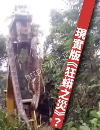巴西工程严苛生态环保