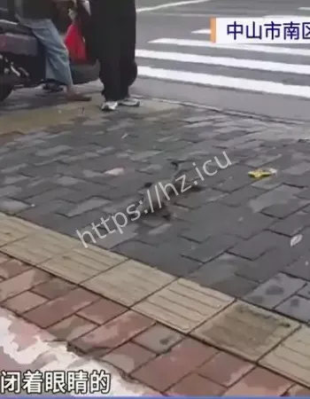 路人误认干尸吓懵
